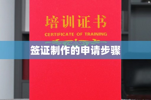 临沧签证制作的申请步骤