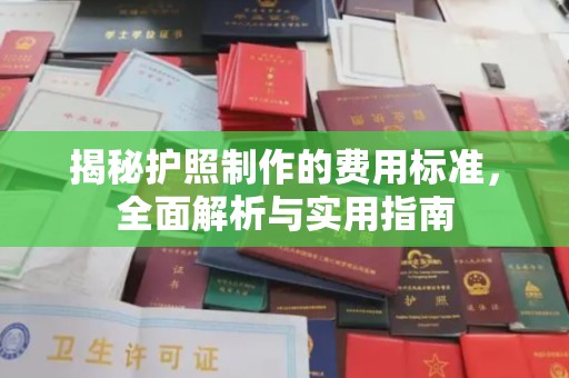 临沧揭秘护照制作的费用标准，全面解析与实用指南