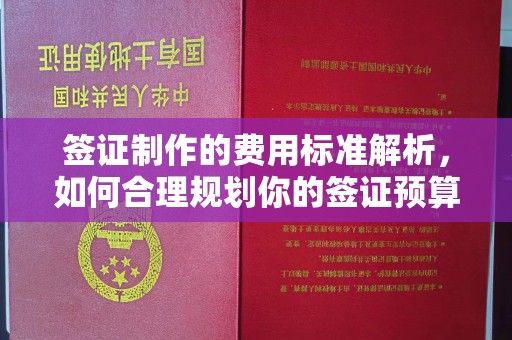 临沧签证制作的费用标准解析，如何合理规划你的签证预算