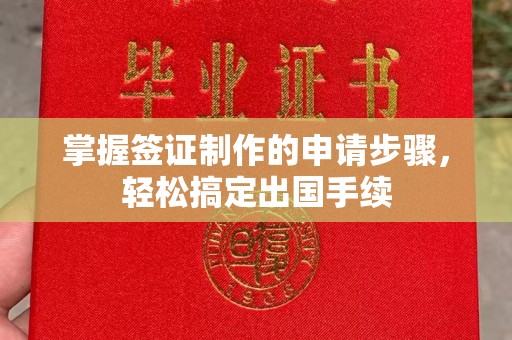 临沧掌握签证制作的申请步骤，轻松搞定出国手续
